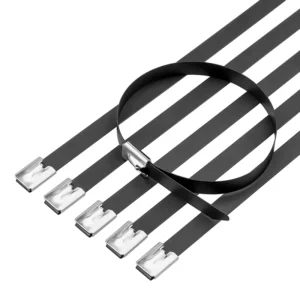 CHINEE LTS 304 Stainless Steel Spray Coated 8*300mm Self locking Black Cable Tie Industrial Grade Smooth Burr free 60~+550 ROHS CE